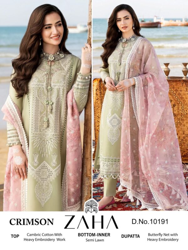 Pakistani Designer Salwar Suit