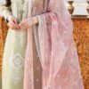 Pakistani Designer Salwar Suit