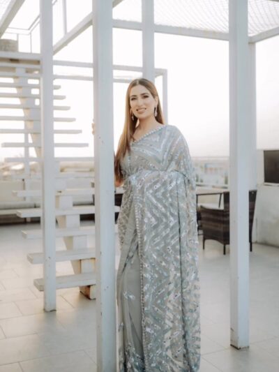 Stylish Pattern Sequence Work Grey Saree