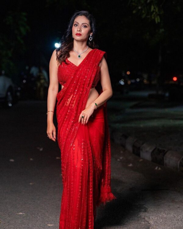 Wedding Sequence work Red Saree