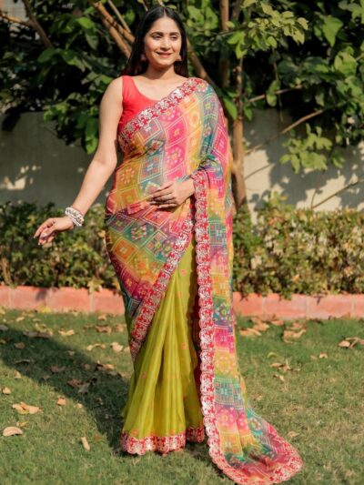 Badhej Design Multi Saree with Work Border