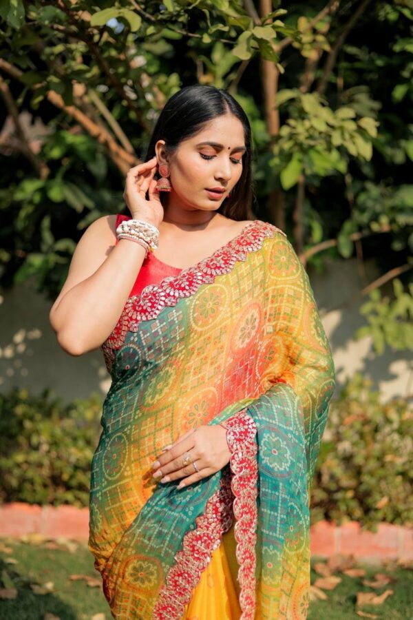 Multi Color Saree