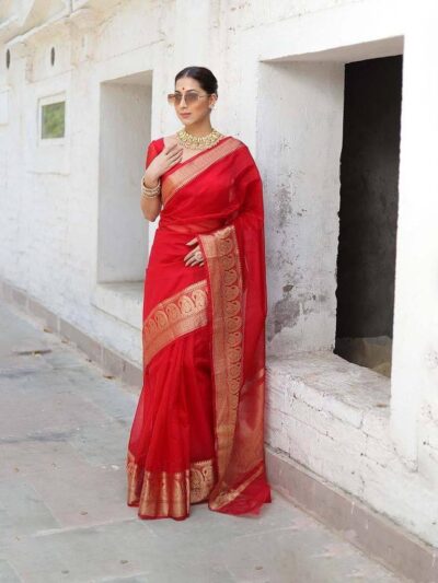 Designer Border Organza Red Saree