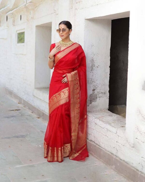 Designer Border Organza Red Saree