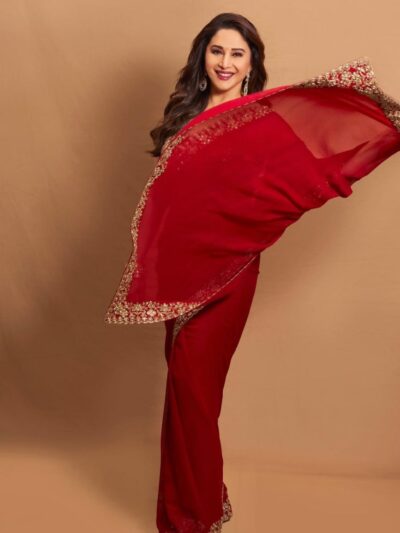 Bollywood Wedding Work Red Saree