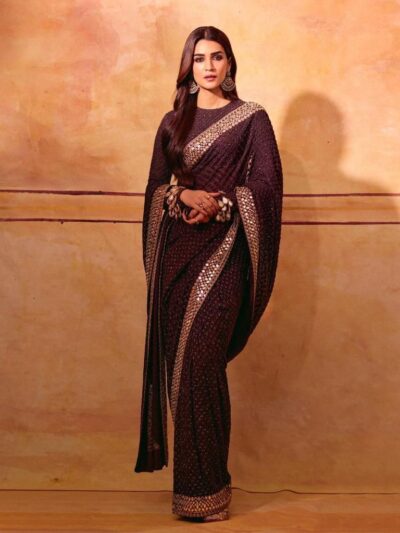 Bollywood Fancy Sequence Purple Saree