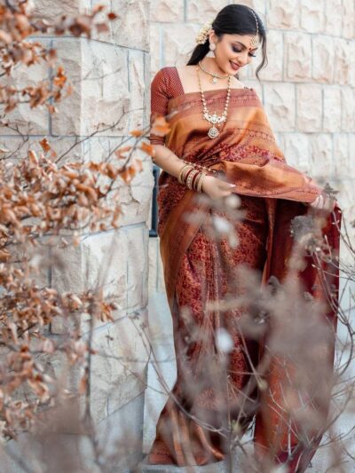 Traditional Women wear Purple Saree