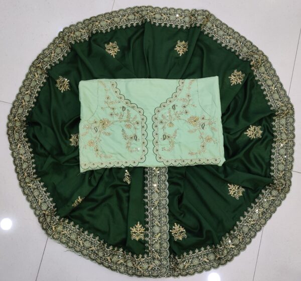 Bollywood Green Saree Work Border