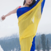 Bollywood Stylish Georgette Blue Saree