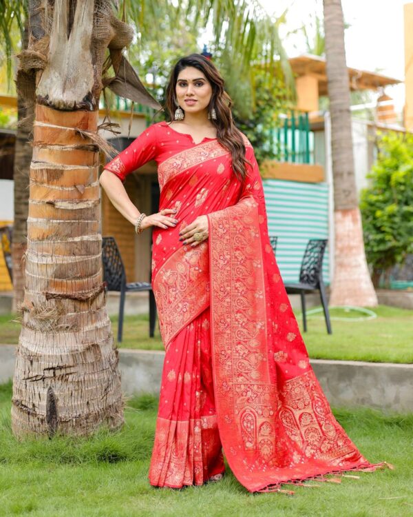 Wedding Kanjivaram Red Saree