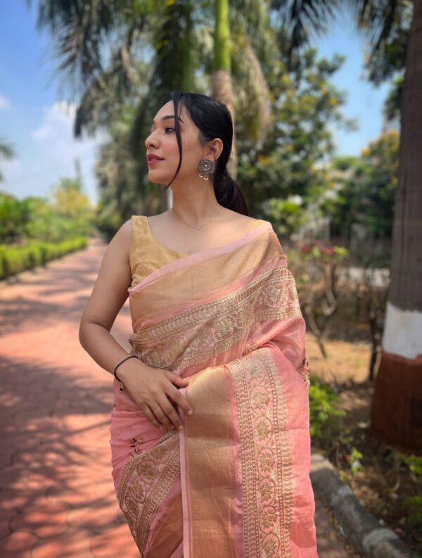 Pink Saree