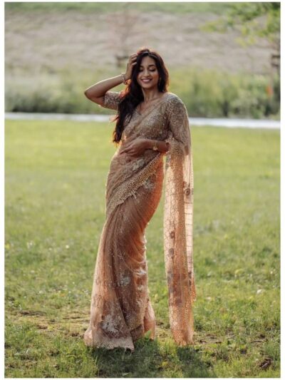 Wedding Bollywood Net Cream Saree