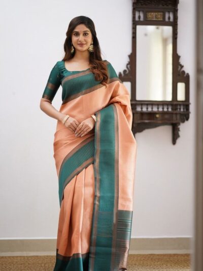 Orange Saree for Women Festival wear