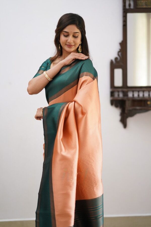 Orange Saree