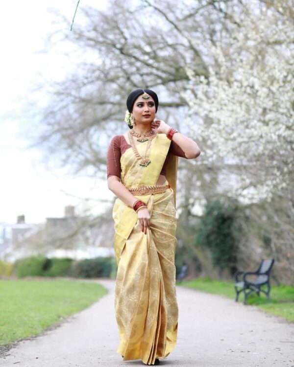 Cream Saree