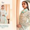 Women's Wear Sky Blue Pakistani Dress