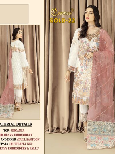 Function Wear Work Pakistani Suit