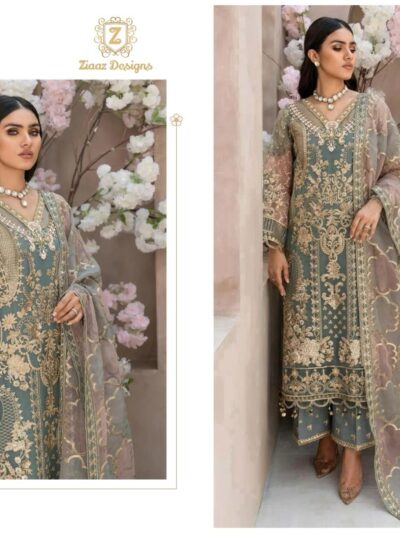 Fancy Women's Wear Pakistani Dress