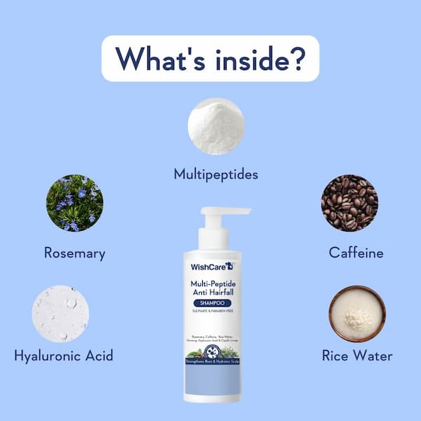 Key Ingredients of WishCare Hairfall Control Shampoo - Rice Water, Rosemary