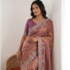 Fendy Chiffon Silk Saree (2) Partywear saree with piping border and embroidery